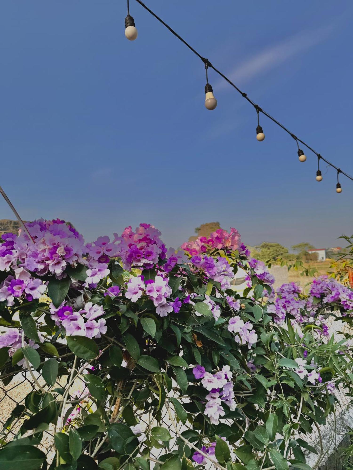 Hotel Rosa Garden Ninh Binh Exterior foto